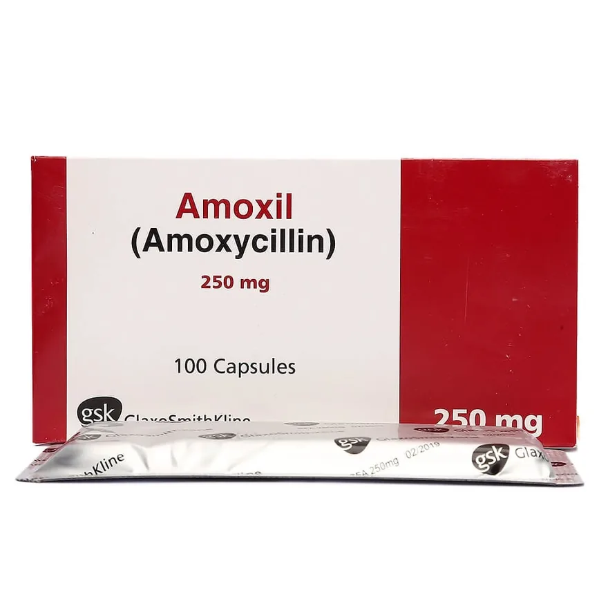 Amoxicilina genérica (amoxicilina)